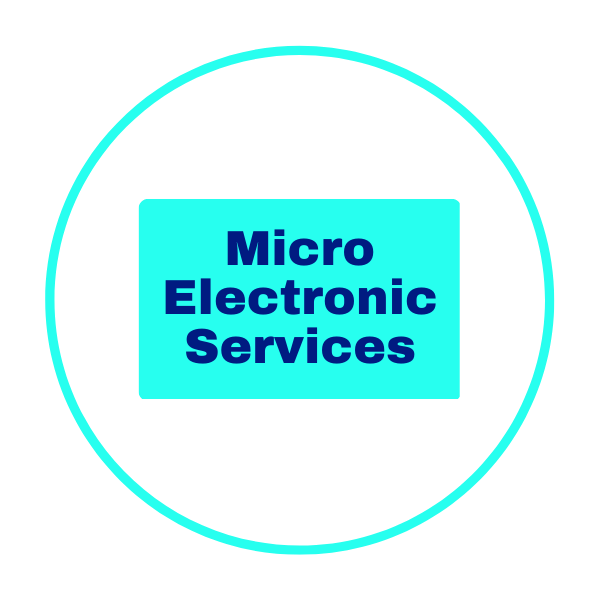 Micro Electronic Services