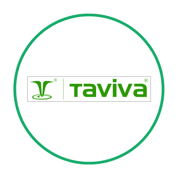 Taviva